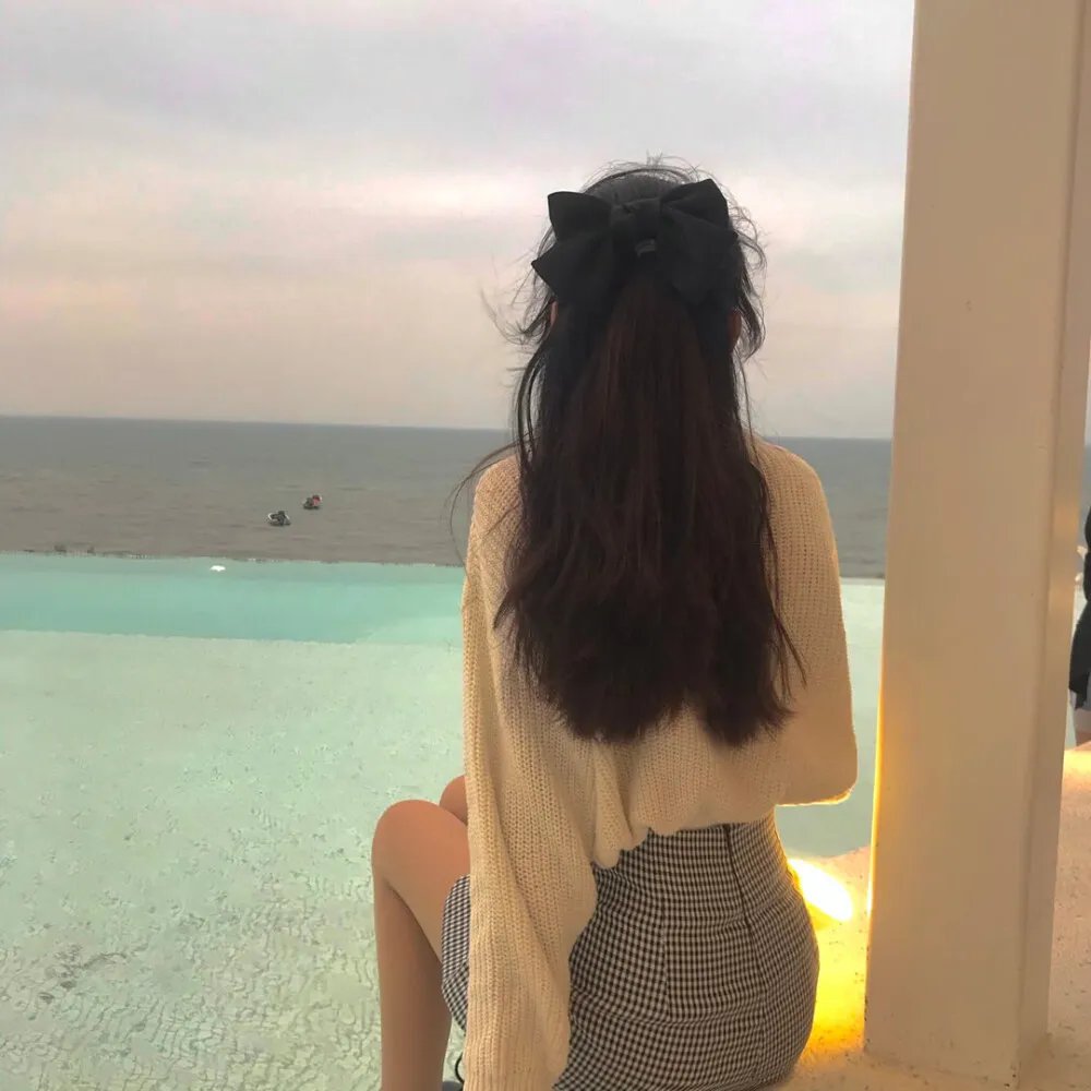 虎啸龙吟 封面